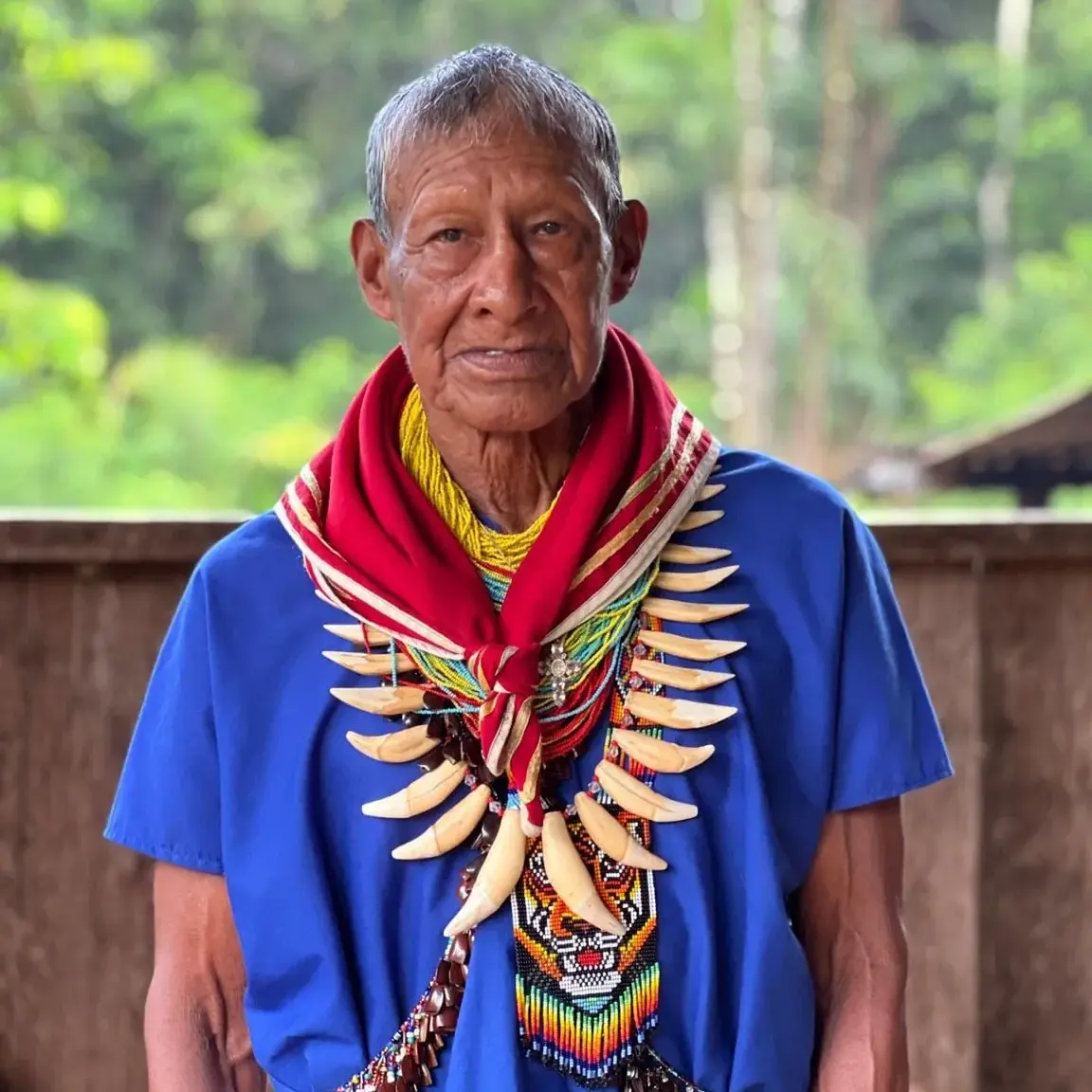 Iowaska (Ayahuasca) Explained: The Ancient Medicine That's Changing Lives