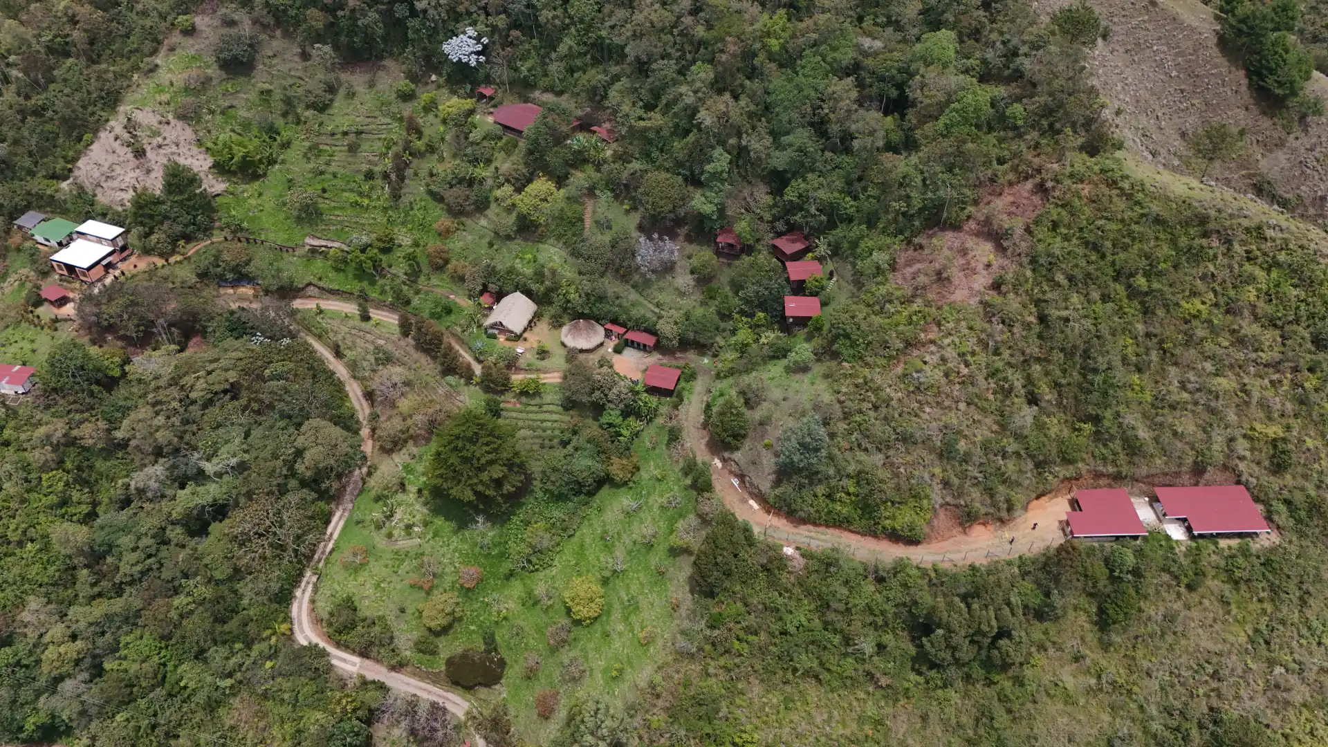 How to Choose a Safe Ayahuasca Retreat in Colombia (2025)