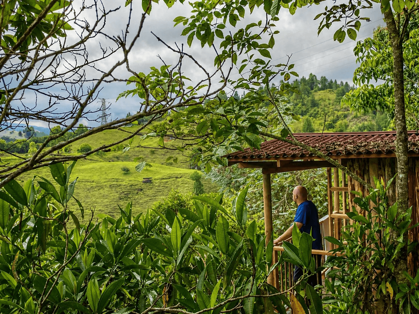 Private and shared cabin exterior overlooking the mountain reserve