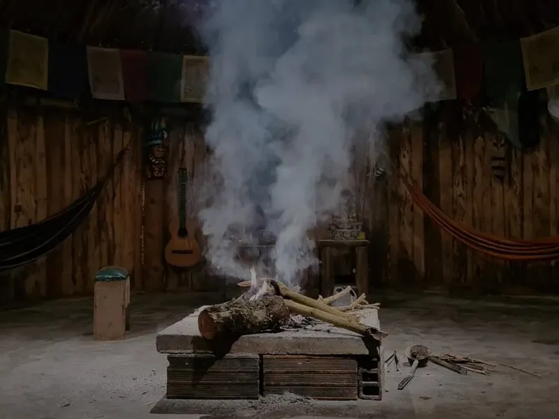 Am I Ready for Ayahuasca? The Question You Should Take Seriously