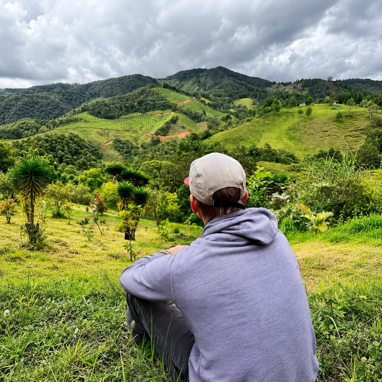 Am I going crazy after ayahuasca?