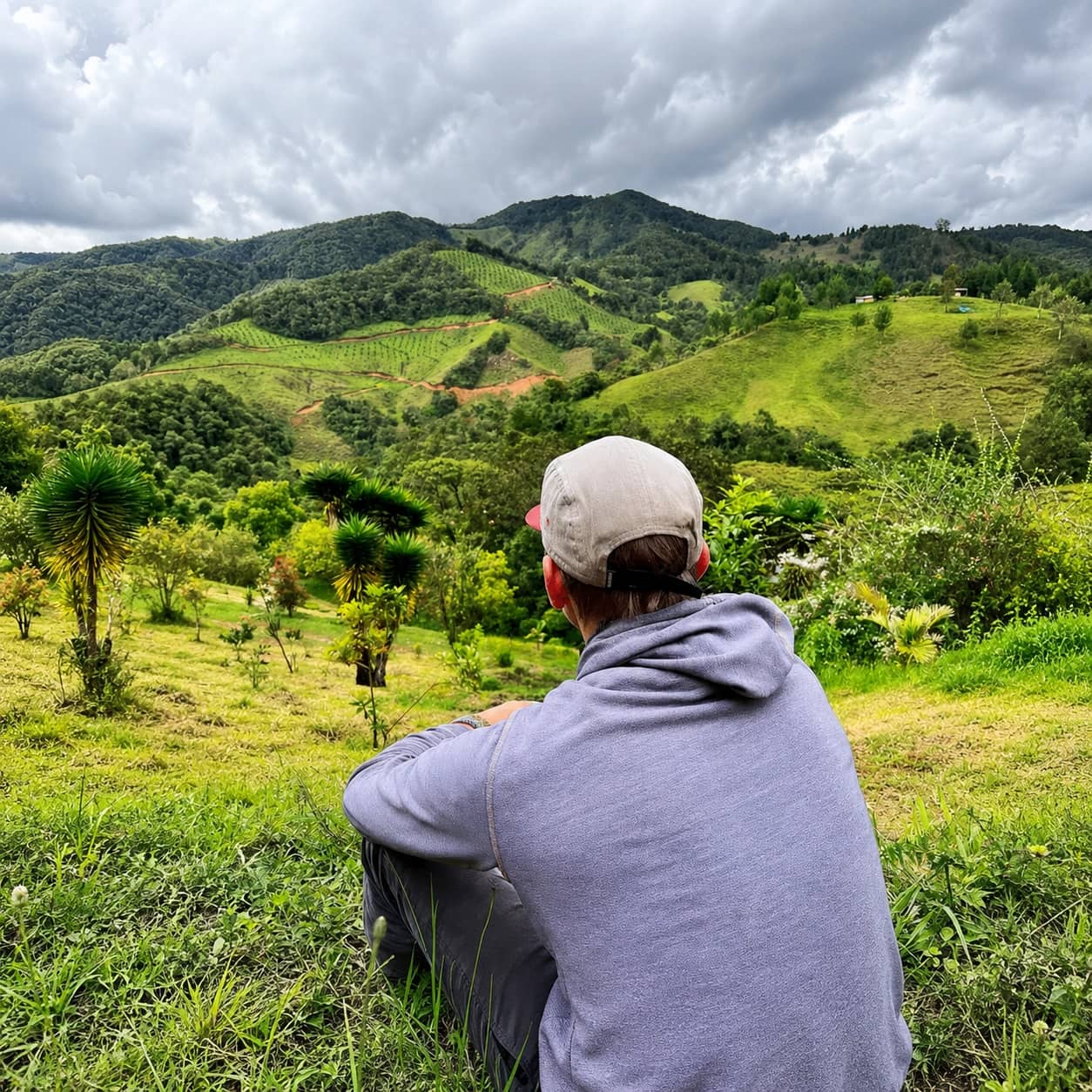 Am I going crazy after ayahuasca?