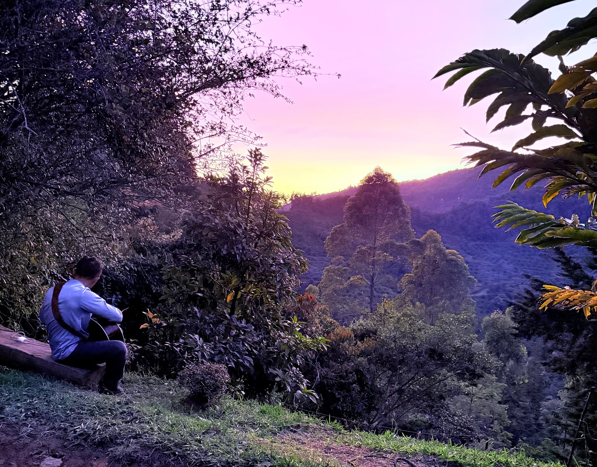 How to Set an Intention for an Ayahuasca Ceremony