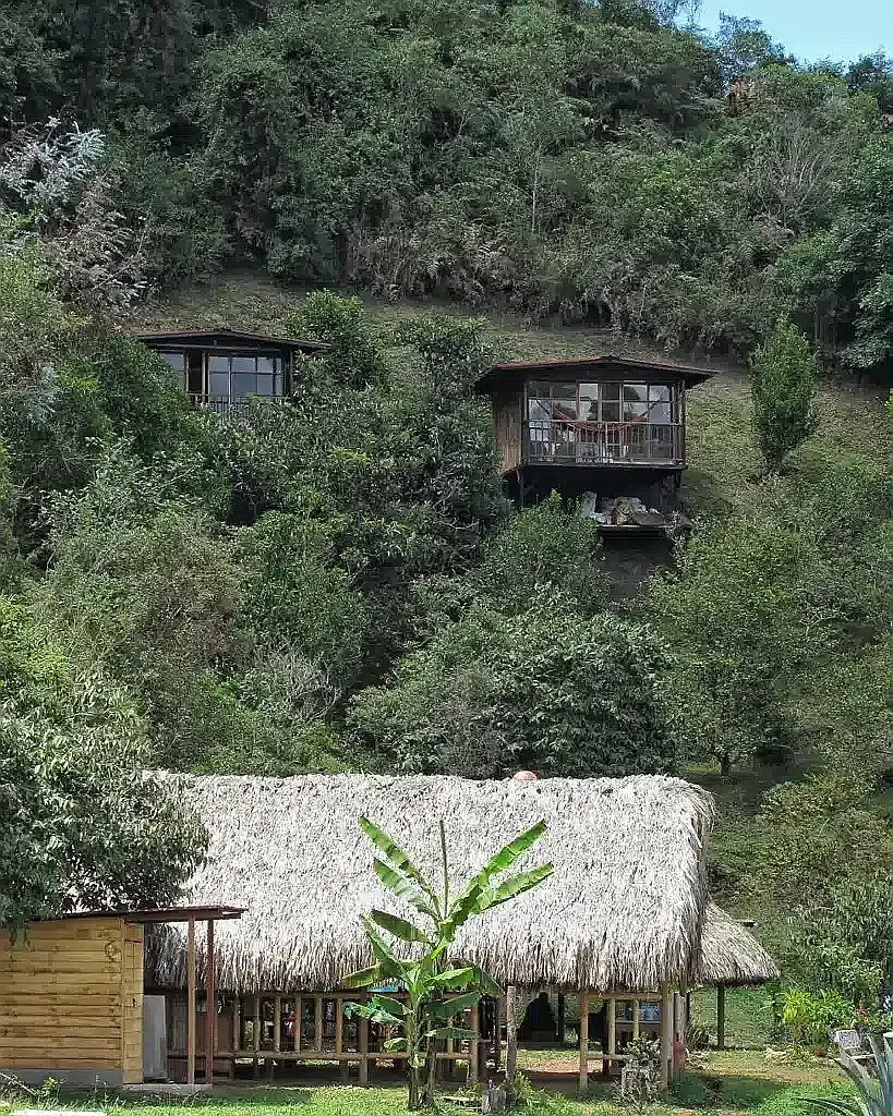 Cabins nestled in the forest at the retreat